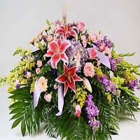 For The Service Image
